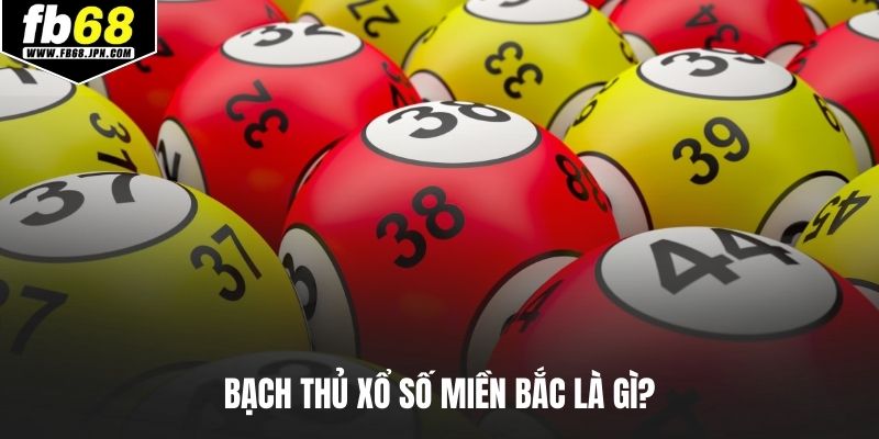 Bạch thủ xổ số miền Bắc là gì?