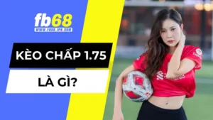 Giải thích về kèo chấp 1.75