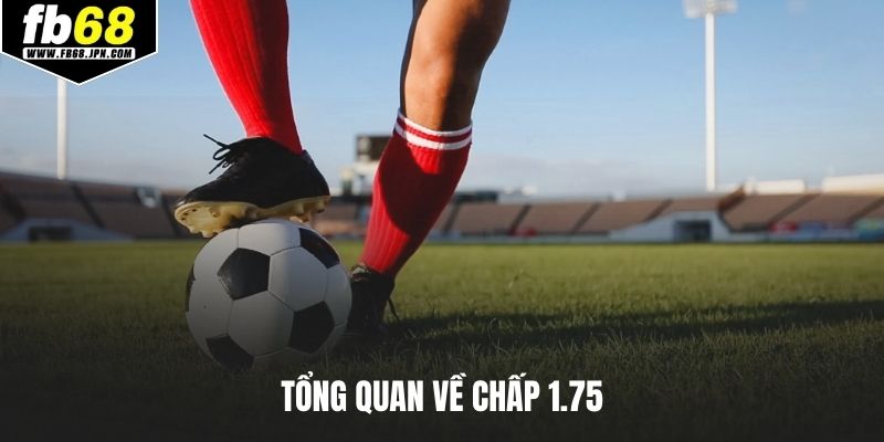 Tổng quan về chấp 1.75